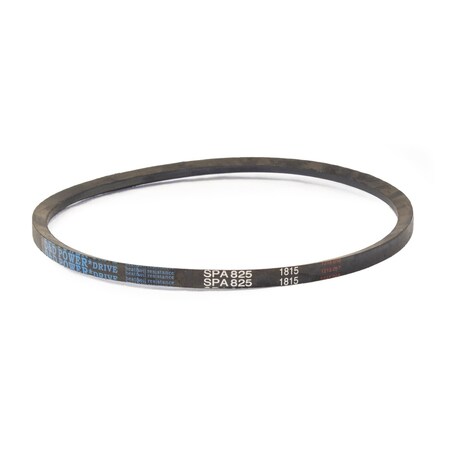 D&D SPA825 Metric V-Belt, 825mm Outside Length, 13 mm Top Width, 10 mm Thickness, 1 Ribs SPA825